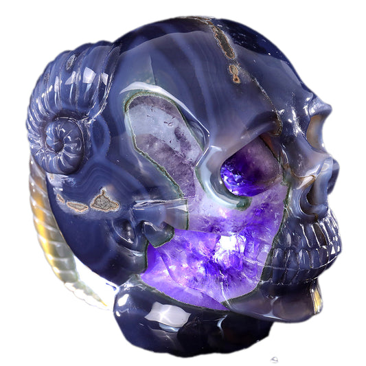 6.3" Amethyst Cluster Ram Horn Skull Carving Sculpture piece 3100314 hand carved natural gemstone sculpture by Nicedony