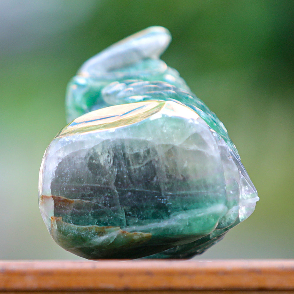 4.1" Fluorite Owl Carving Sculpture piece 3100339 view 9