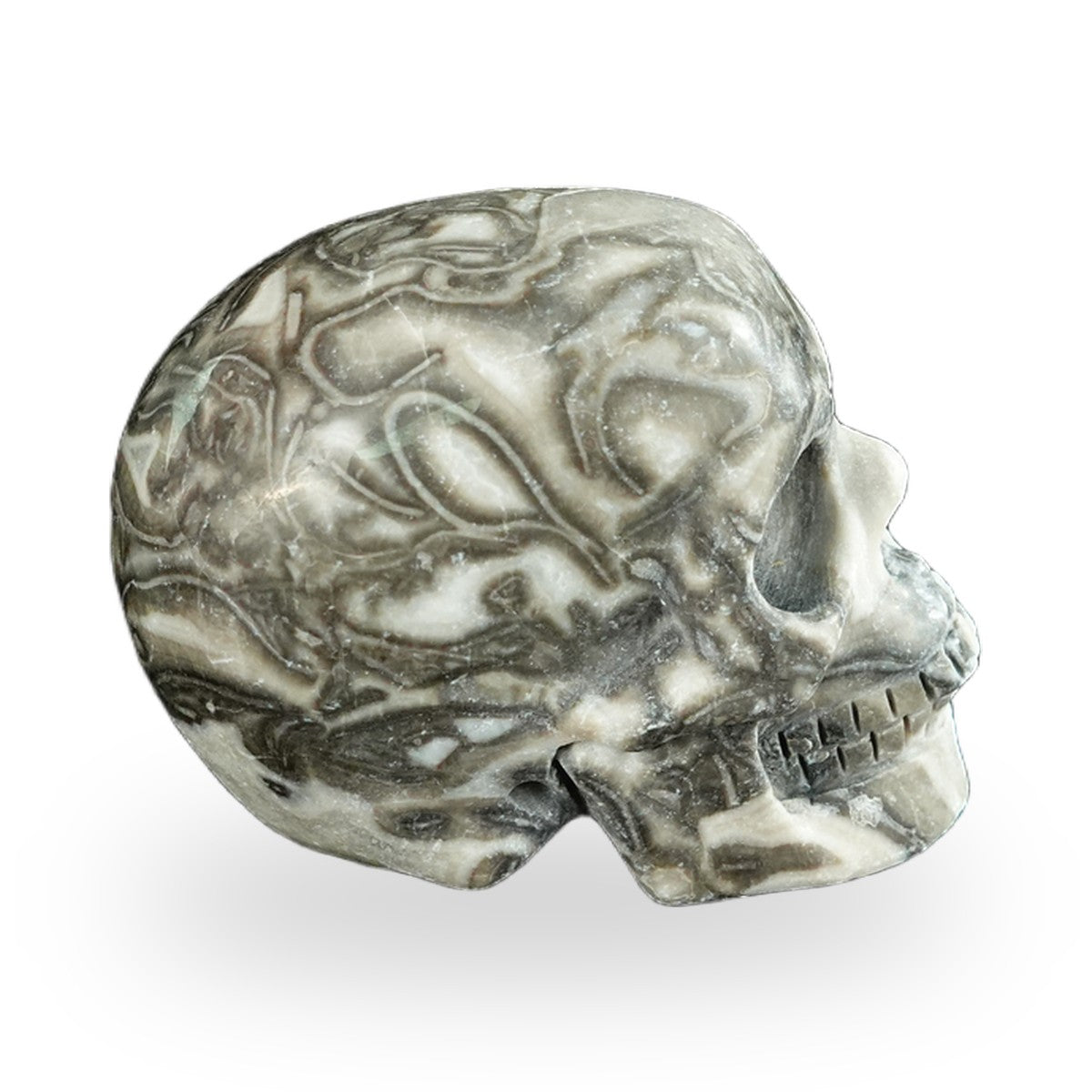 Black Crazy Agate crystal skull 2.2" SKH20BCA03 photo 5