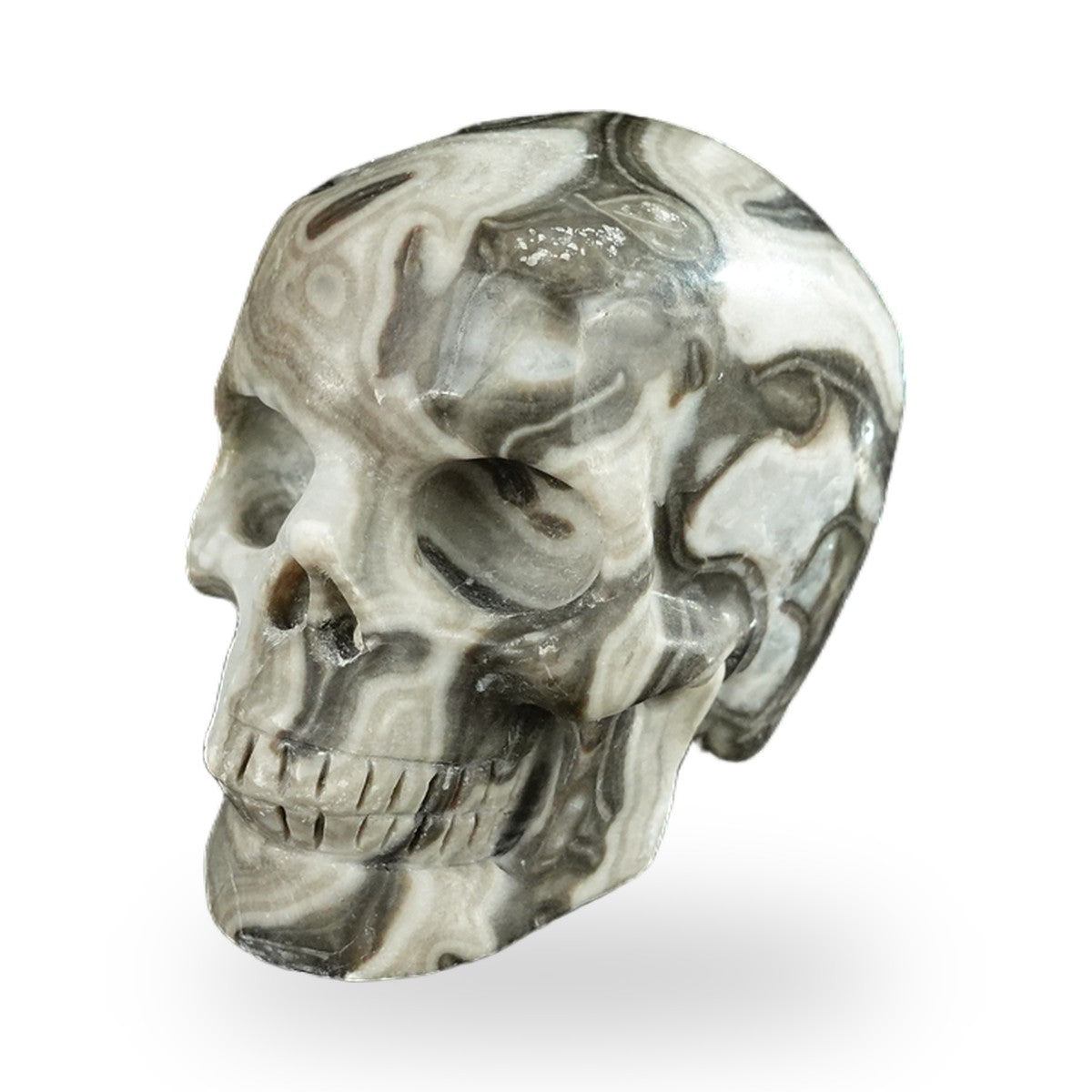 Black Crazy Agate crystal skull 2.2" SKH20BCA12 photo 8