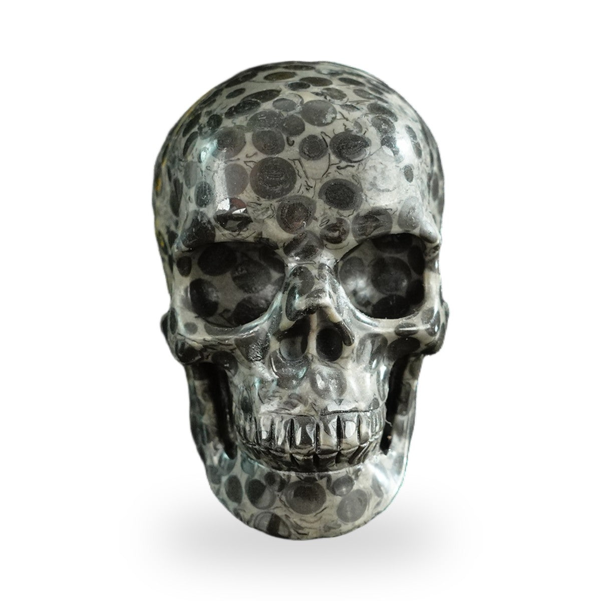 Black Leopard Skin Jasper crystal skull 3" SKH30BLS01 hand carved gemstone