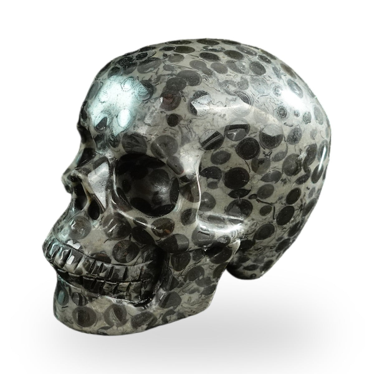 Black Leopard Skin Jasper crystal skull 3" SKH30BLS01 view 8