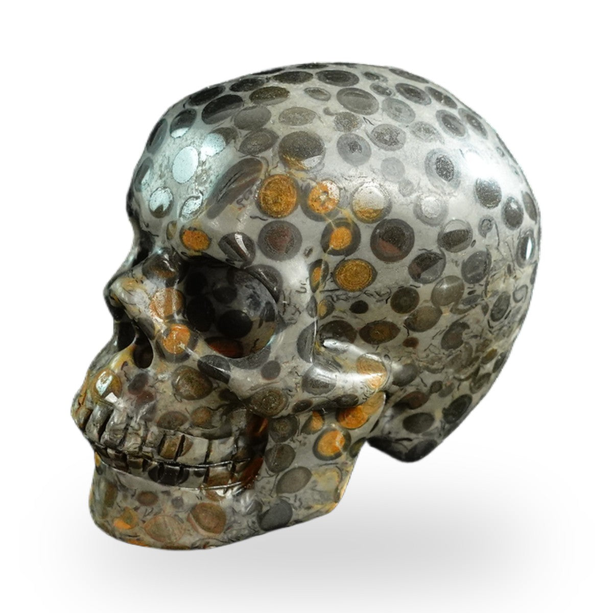 Black Leopard Skin Jasper crystal skull 3" SKH30BLS02 photo 6