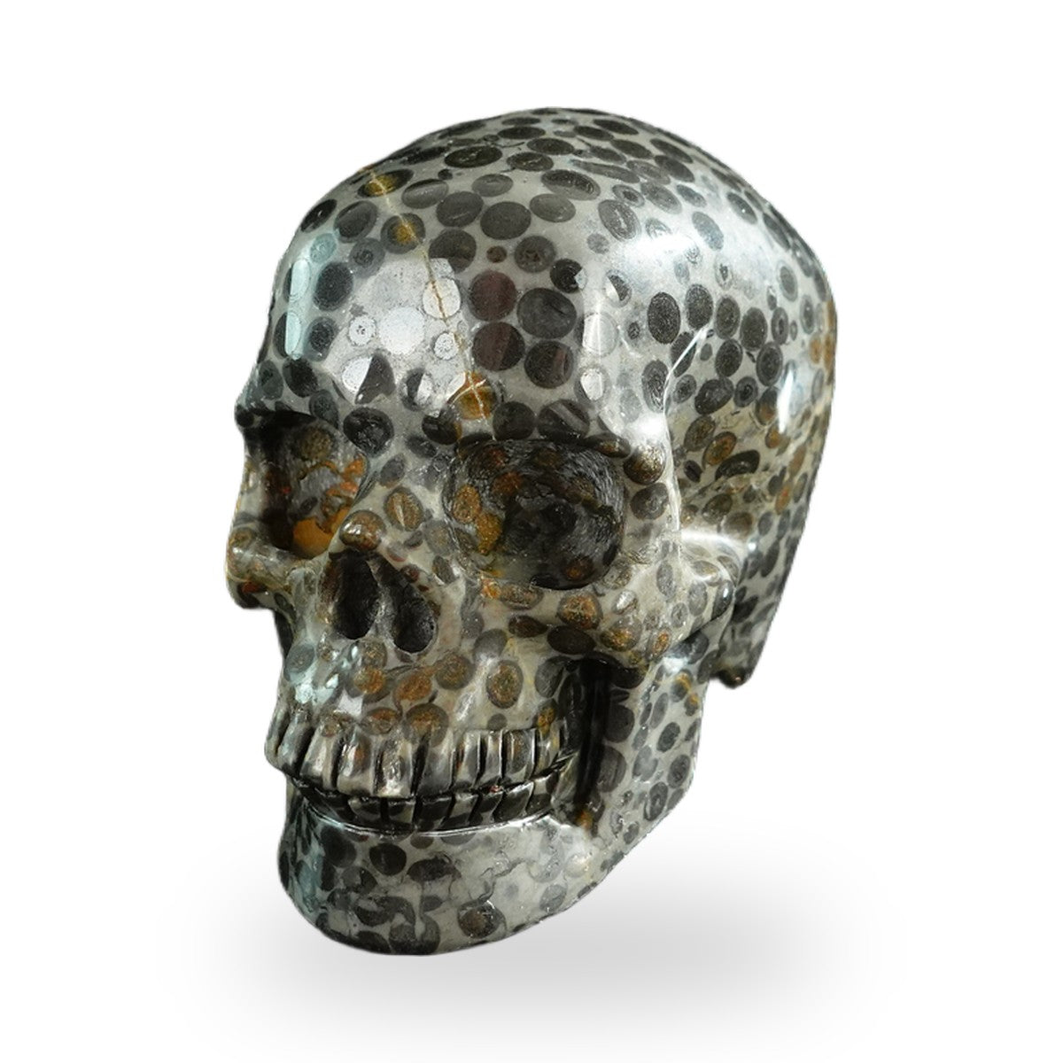 Black Leopard Skin Jasper crystal skull 3" SKH30BLS06 photo 8