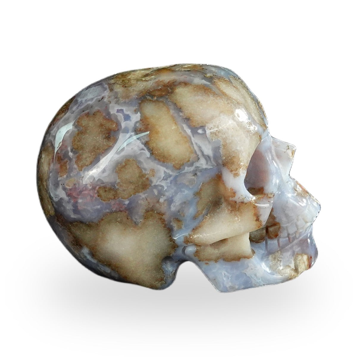 Blue Flower Agate crystal skull 2.2" SKH20BF19 photo 5