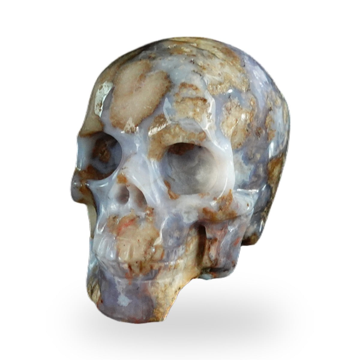 Blue Flower Agate crystal skull 2.2" SKH20BF19 photo 8