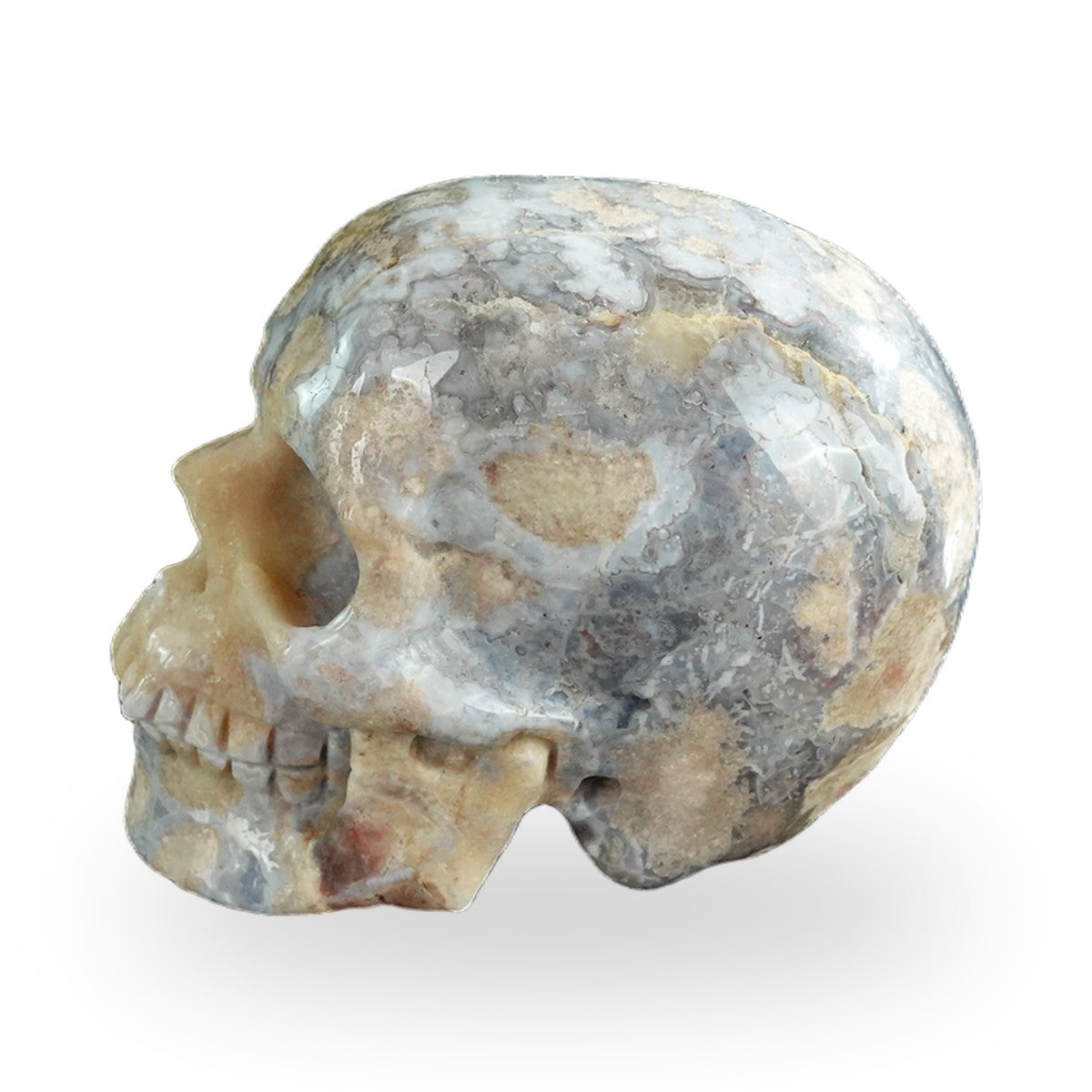 Blue Flower Agate crystal skull 3" SKH30BF04 photo 6