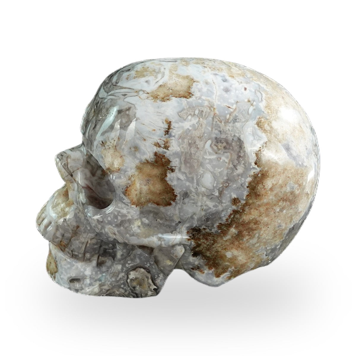 Blue Flower Agate crystal skull 3" SKH30BF05 photo 5