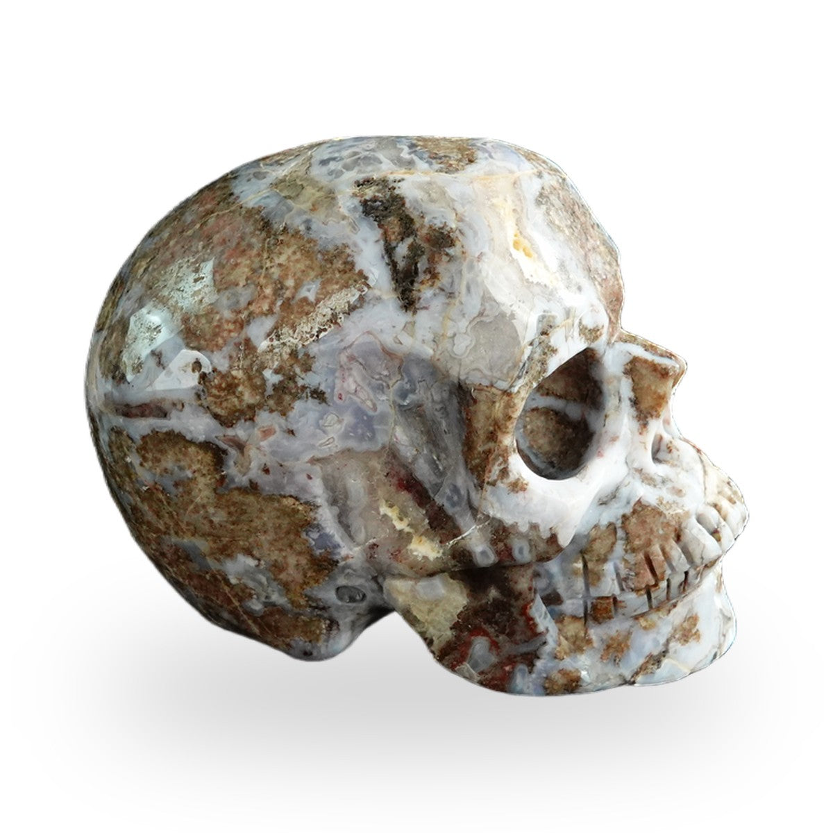 Blue Flower Agate crystal skull 3" SKH30BF09 photo 4