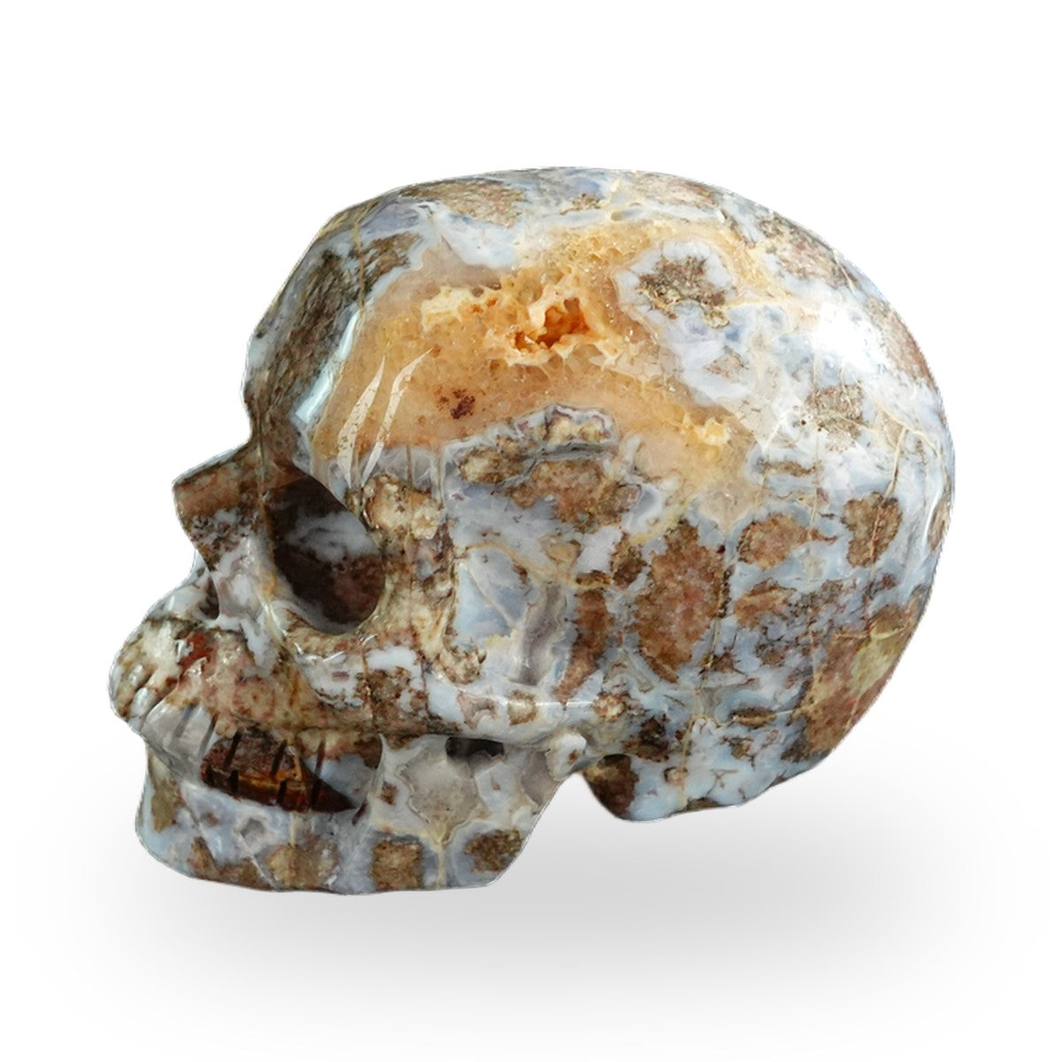 Blue Flower Agate crystal skull 3" SKH30BF09 photo 5
