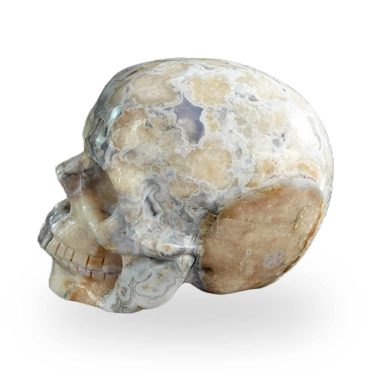 Blue Flower Agate crystal skull 3" SKH30BF10 photo 6