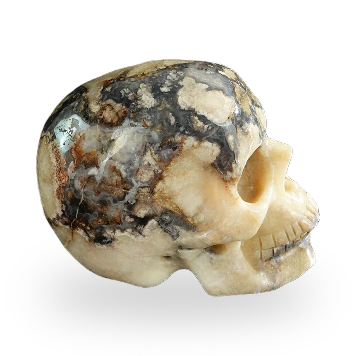 Blue Flower Agate crystal skull 3" SKH30BF11 photo 5