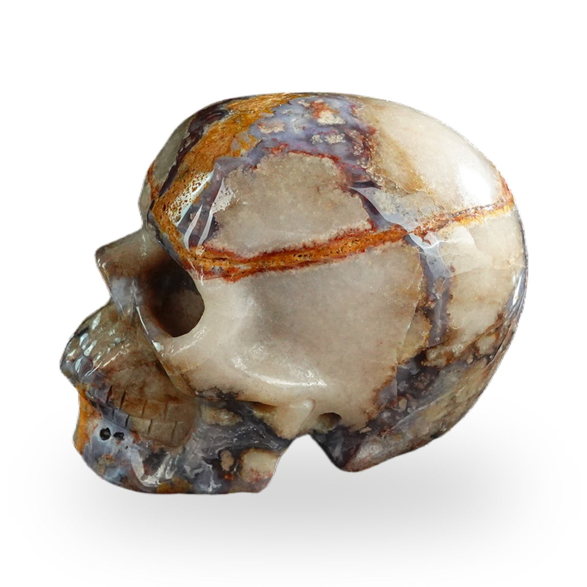 Blue Flower Agate crystal skull 3" SKH30BF15 photo 5
