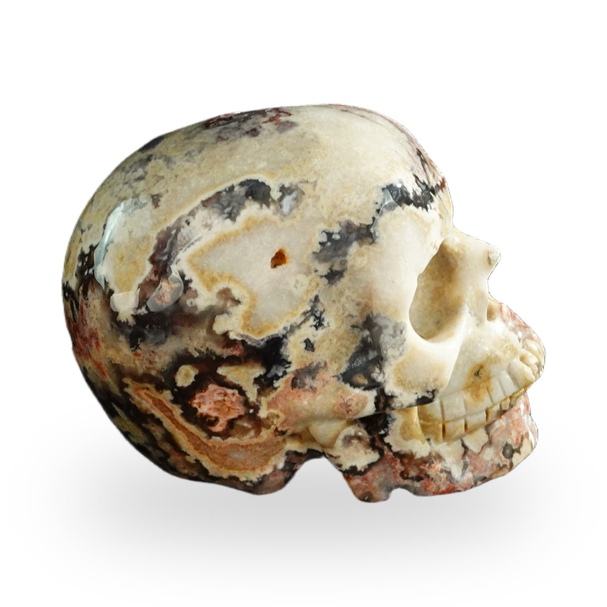 Blue Flower Agate crystal skull 3" SKH30BF20 photo 5