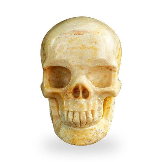Coral Fossil crystal skull 3" SKH30CF01 hand carved gemstone