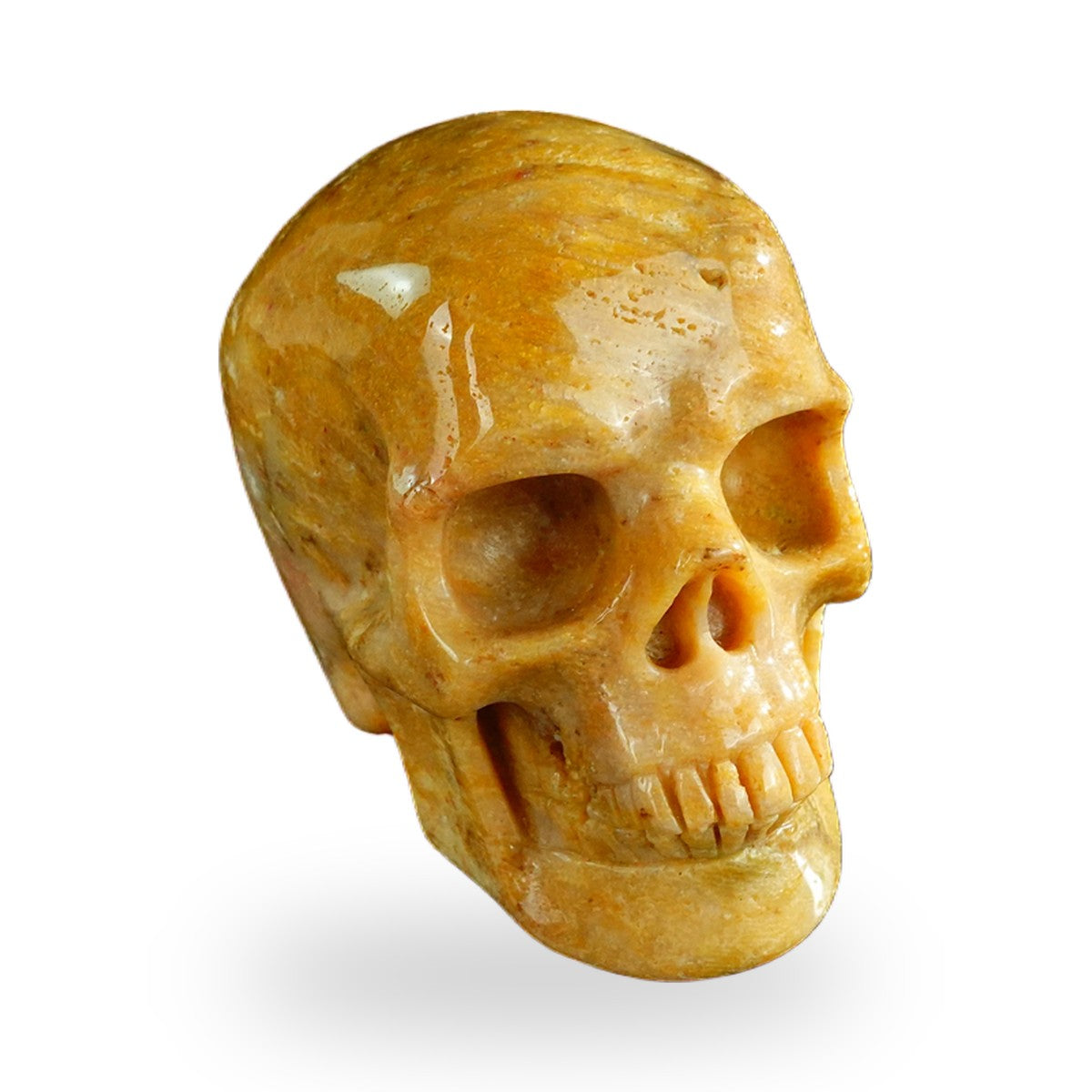 Coral Fossil crystal skull 3" SKH30CF02 photo 2