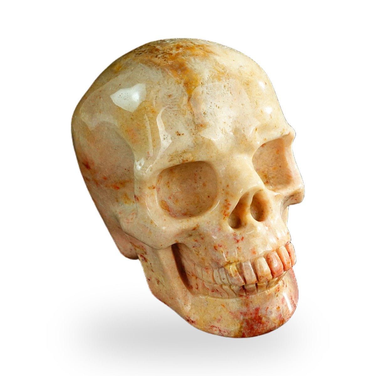 Coral Fossil crystal skull 3" SKH30CF03 photo 2