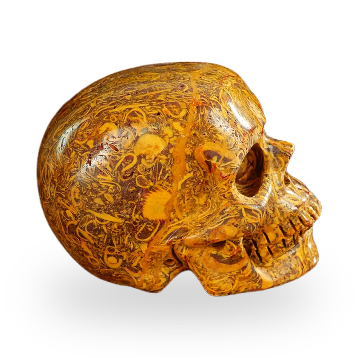 Elephant Skin Jasper crystal skull 2.2" SKH20ES08 photo 4