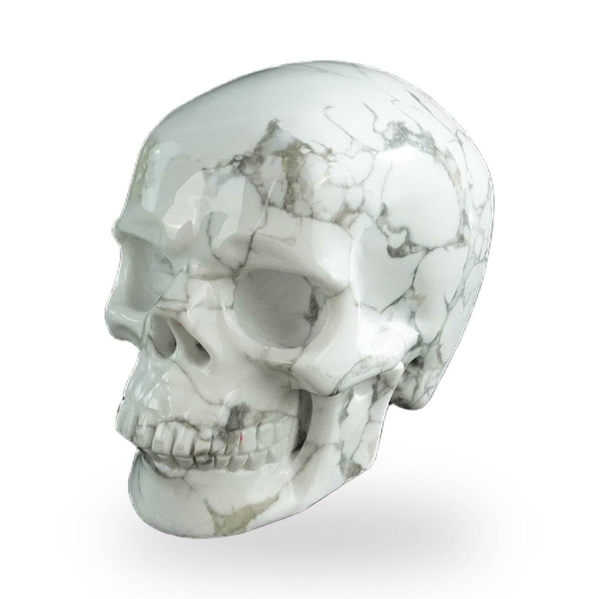 Howlite crystal skull 3" SKH30HL06 photo 8