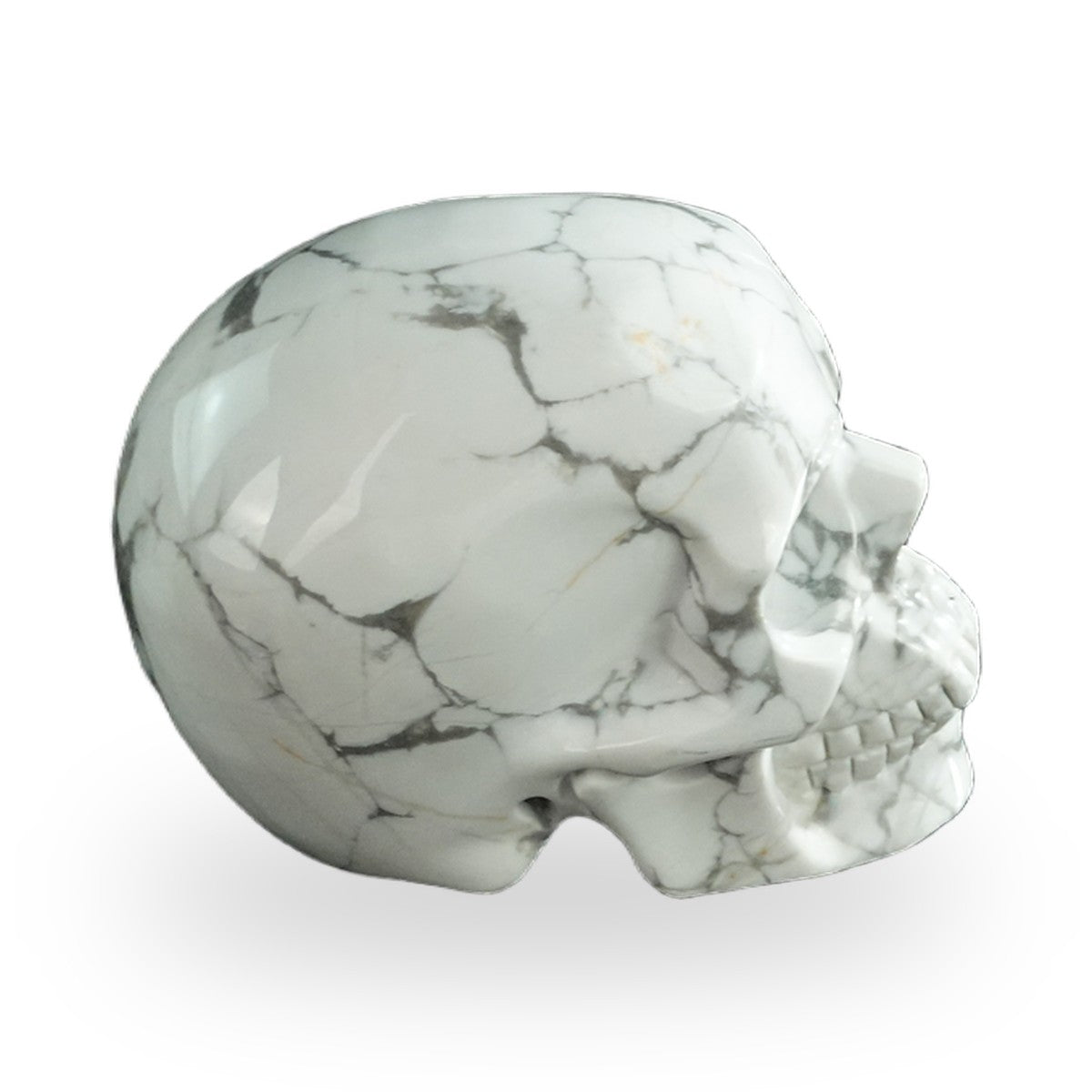 Howlite crystal skull 3" SKH30HL07 photo 5