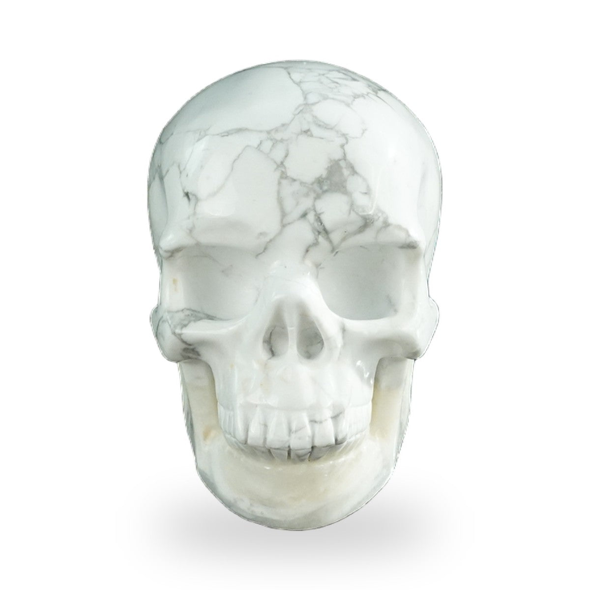 Howlite crystal skull 3" SKH30HL08 photo 1