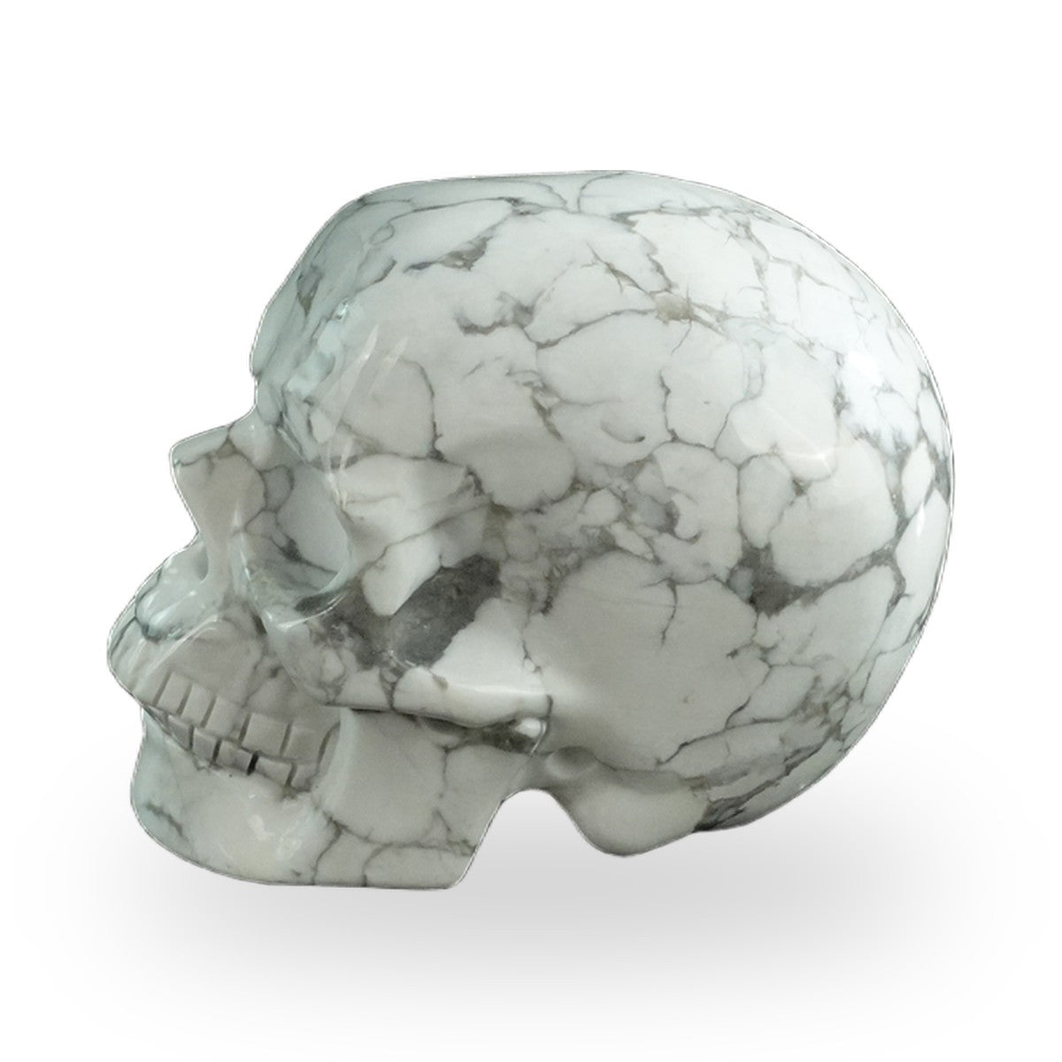 Howlite crystal skull 3" SKH30HL11 photo 5