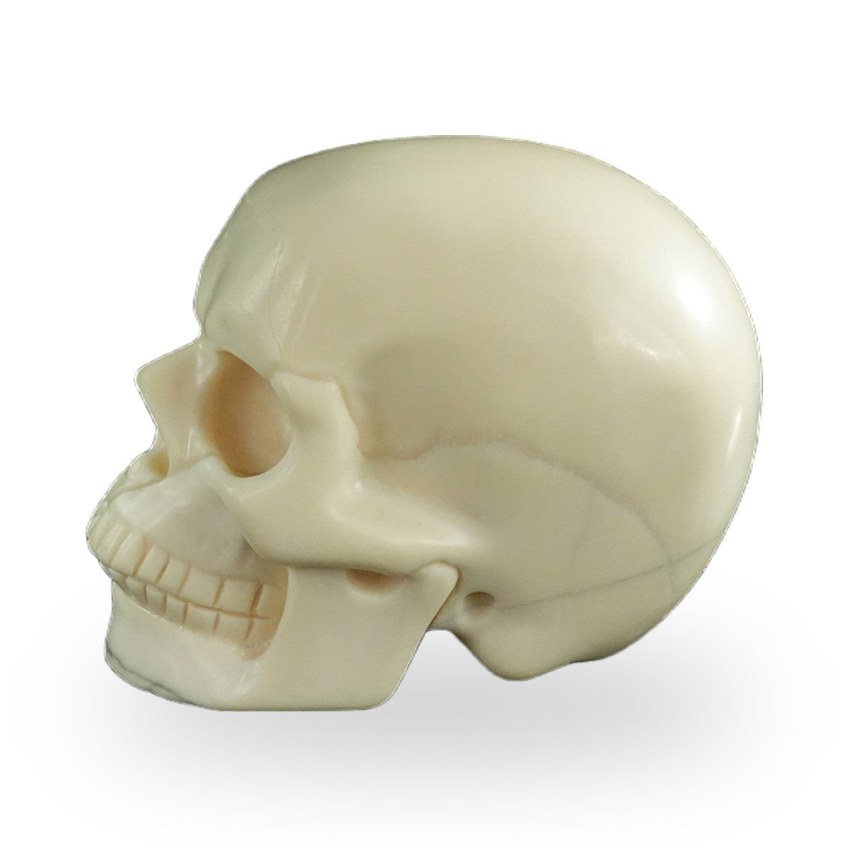 Ivory Jade crystal skull 3" SKH30IJ15 photo 5