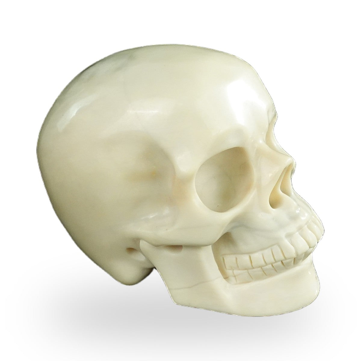 Ivory Jade crystal skull 4.5" SKH45IJ01 view 3