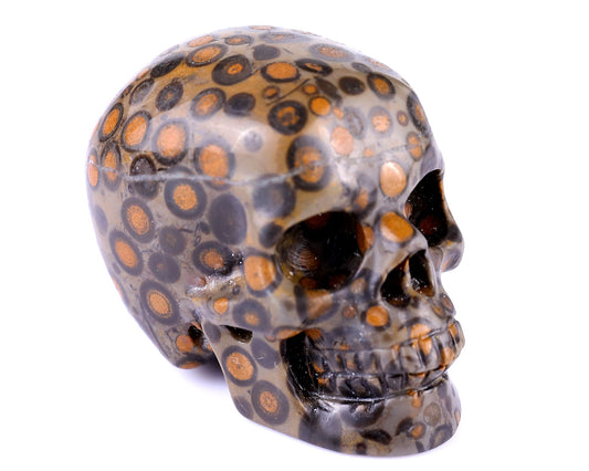 Nicedony 2.2" Leopard Skin Jasper Hand Carved Realistic Skull - #5100120