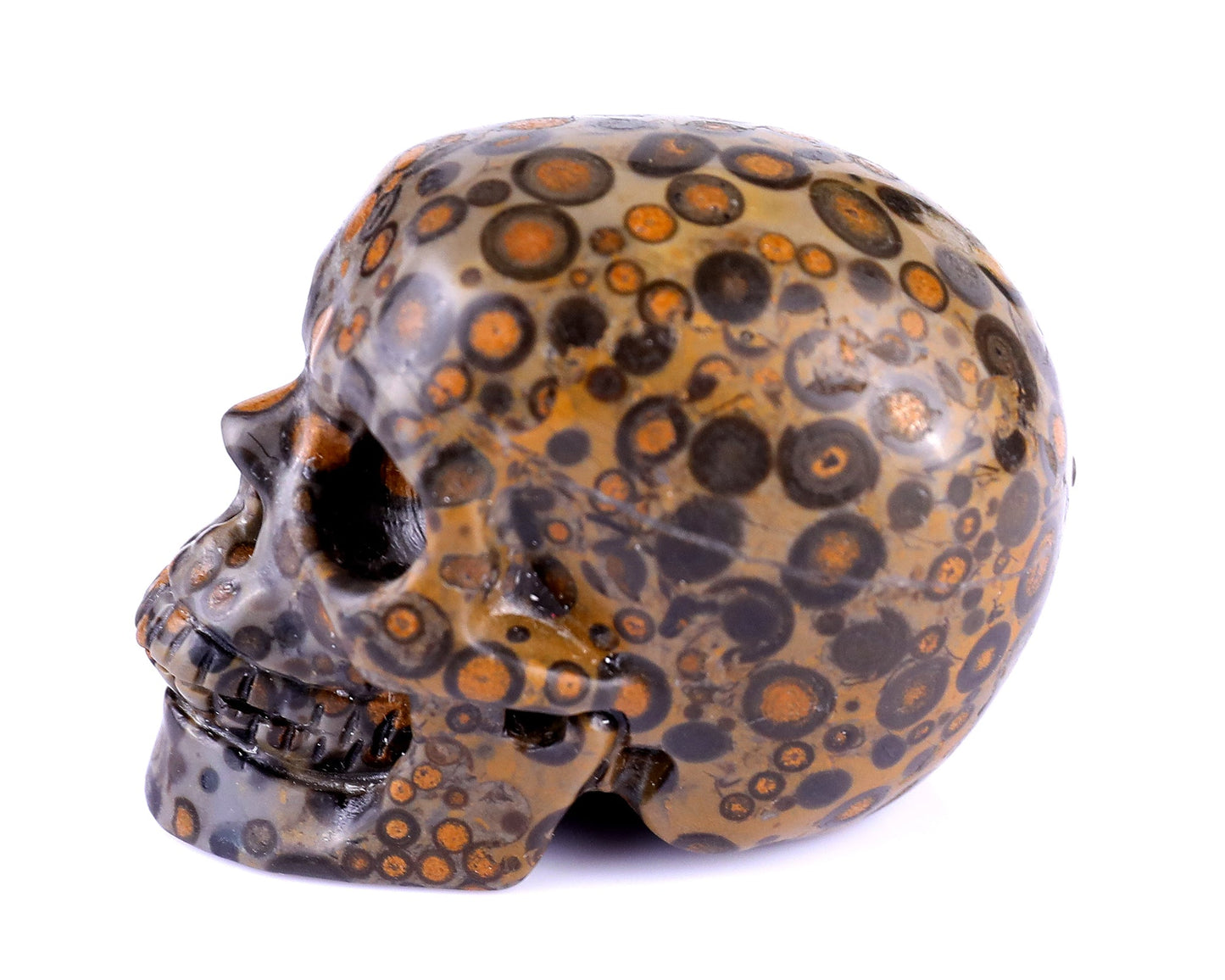 Nicedony 2.2" Leopard Skin Jasper Hand Carved Realistic Skull (SKU: 5100120) - Photo 7