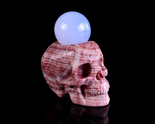 Nicedony 2.2" Red Zebra Agate Hand Carved Crystal Realistic Skull Ball Stand Sculpture