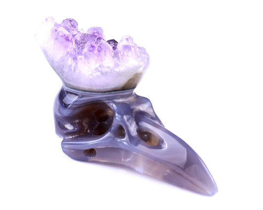 Nicedony 2.5" Amethyst Druse Agate Hand Carved Crystal Raven Skull Sculpture