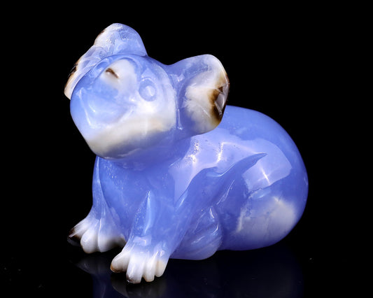 Nicedony 2.7" Blue Chalcedony Hand Carved Crystal Koala Sculpture