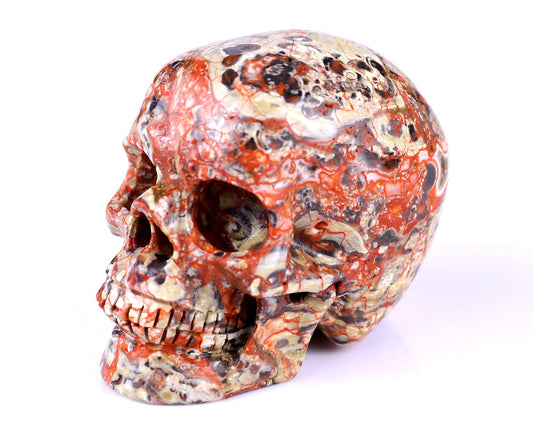 Nicedony 2.9" Coin Agate Hand Carved Realistic Skull Sculpture