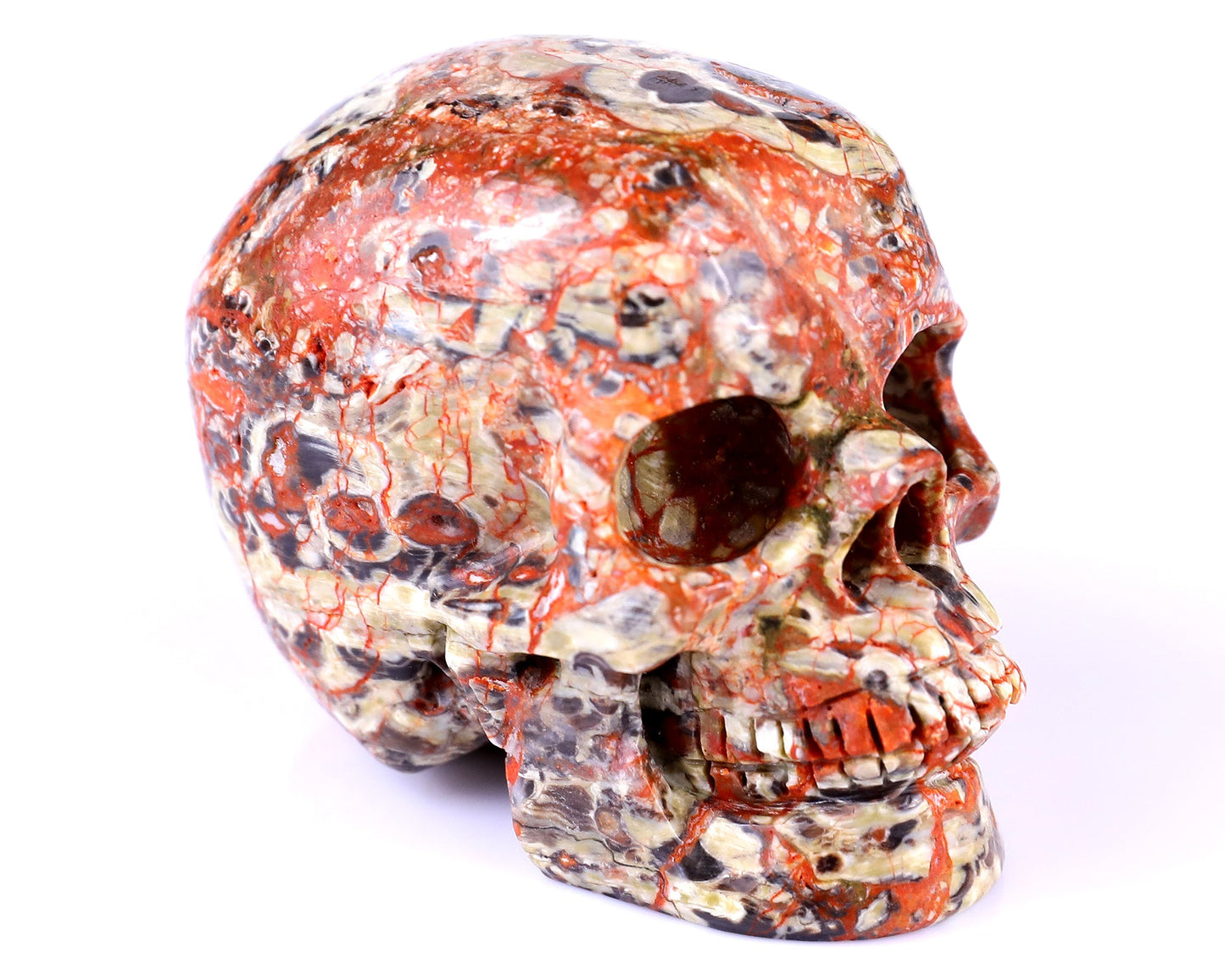 Nicedony 2.9" Coin Agate Hand Carved Realistic Skull Sculpture - View 10