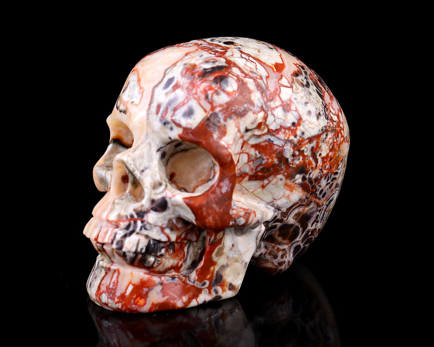 Nicedony 3.0" Coin Agate Hand Carved Realistic Skull Sculpture - View 7