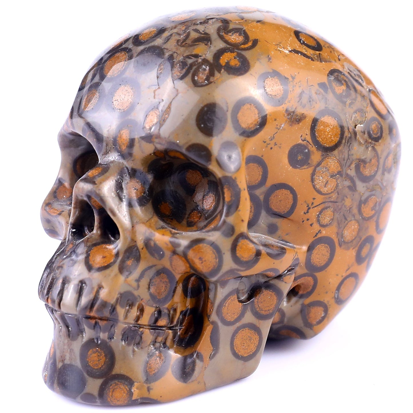 Nicedony 3.0" Leopard Skin Jasper Hand Carved Realistic Skull - View 7