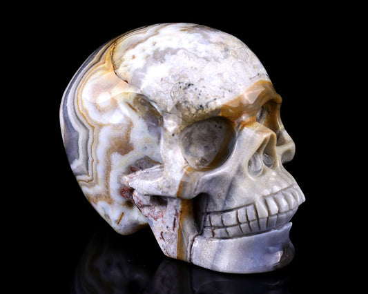 Nicedony 3.0" Red Crazy Lace Agate Hand Carved Realistic Skull (SKU: 5100003) - Photo 1