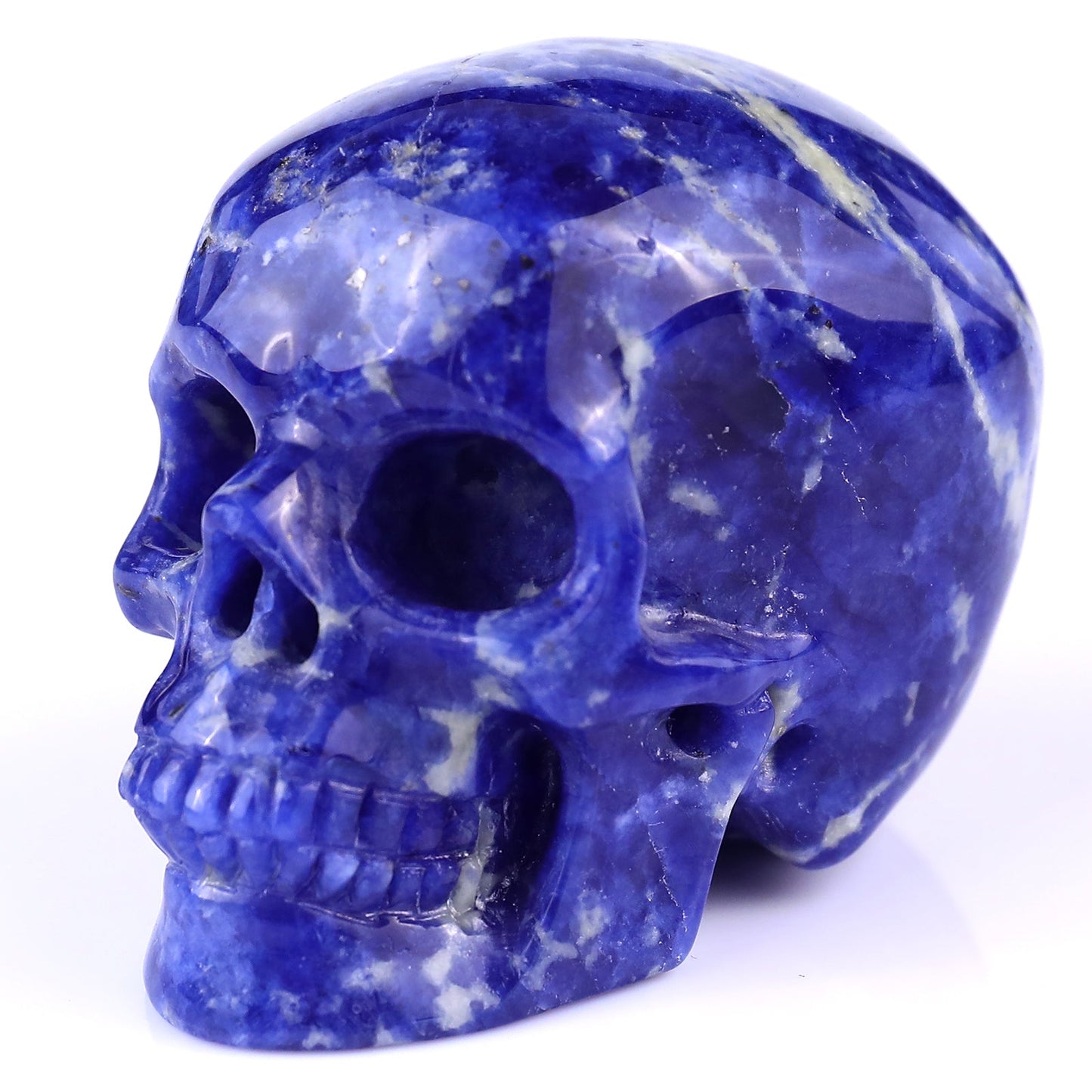 Nicedony 3.0" Sodalite Hand Carved Crystal Realistic Skull Sculpture - View 8