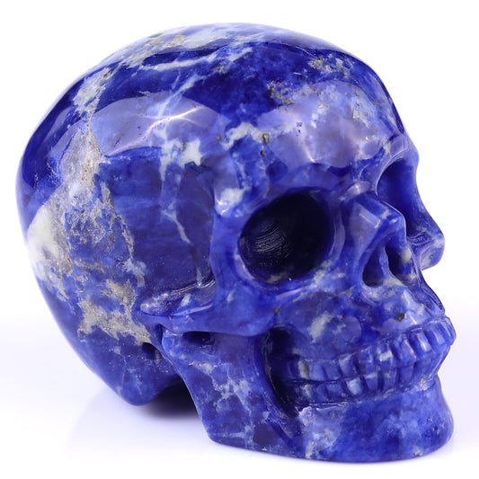 Nicedony 3.0" Sodalite Hand Carved Crystal Realistic Skull Sculpture - 1