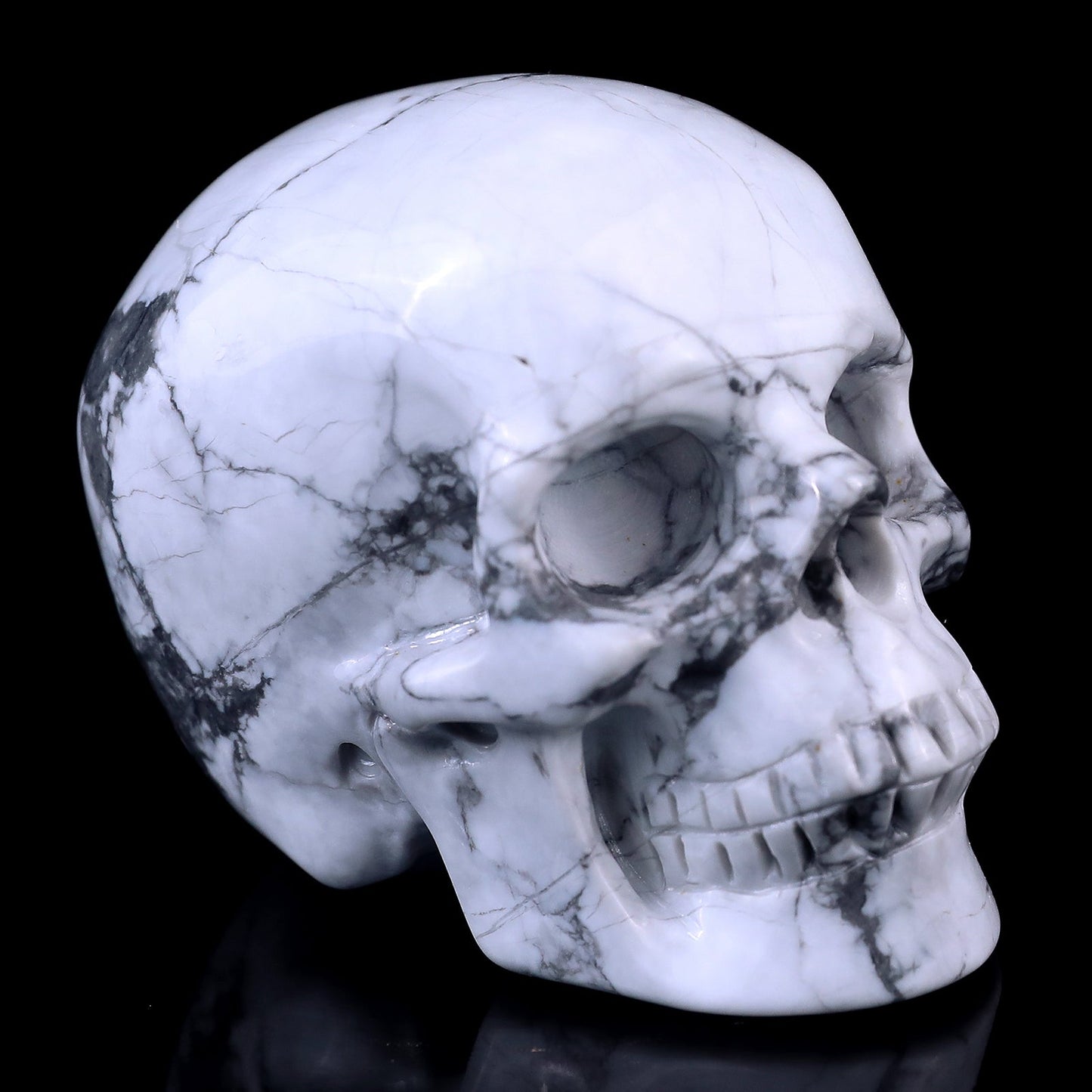 Nicedony 3.0" Howlite Hand Carved Crystal Realistic Skull Sculpture - View 23