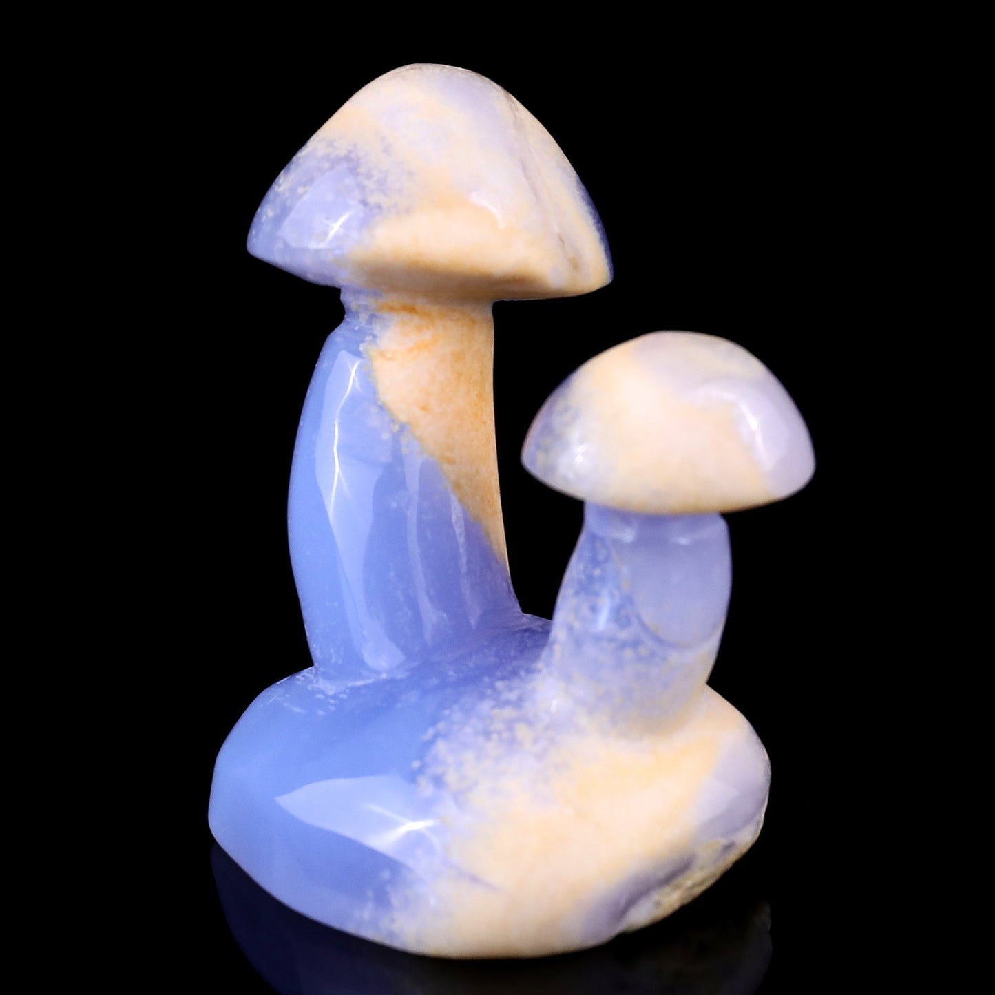Nicedony 3.1" Blue Chalcedony Hand Carved Crystal Mushrooms Sculpture - View 7