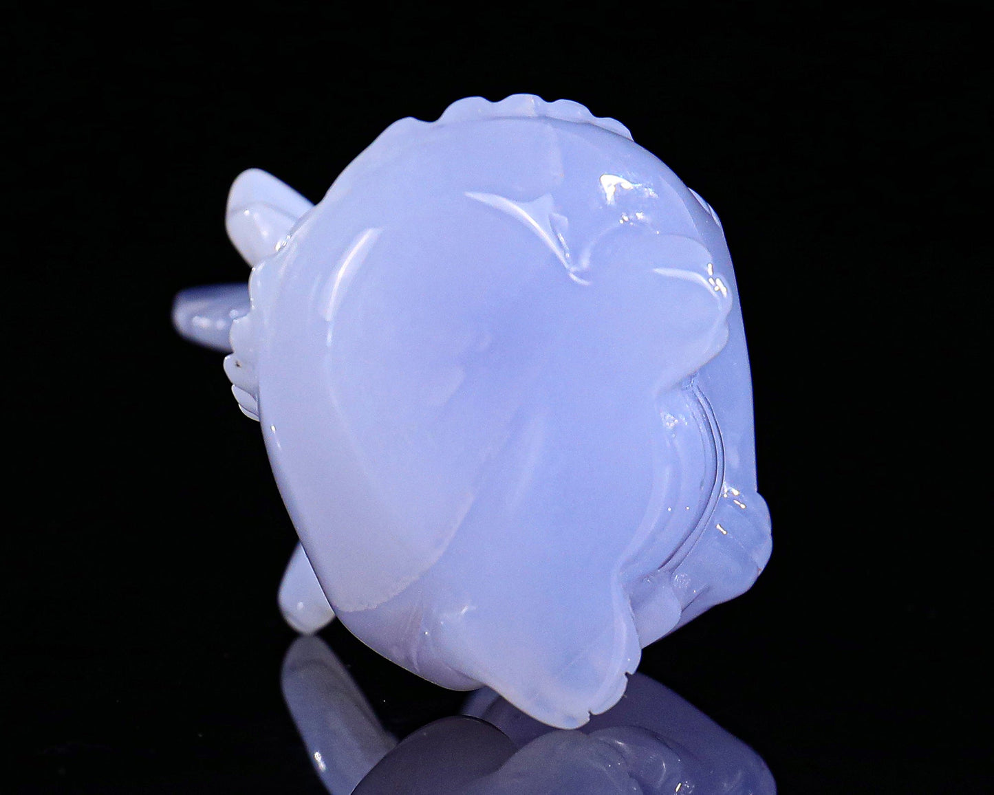 Nicedony 3.3" Blue Chalcedony Hand Carved Cute Baby Dragon Sculpture - View 7