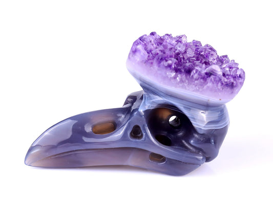 Nicedony 3.7" Amethyst Druse Agate Hand Carved Crystal Raven Skull Sculpture