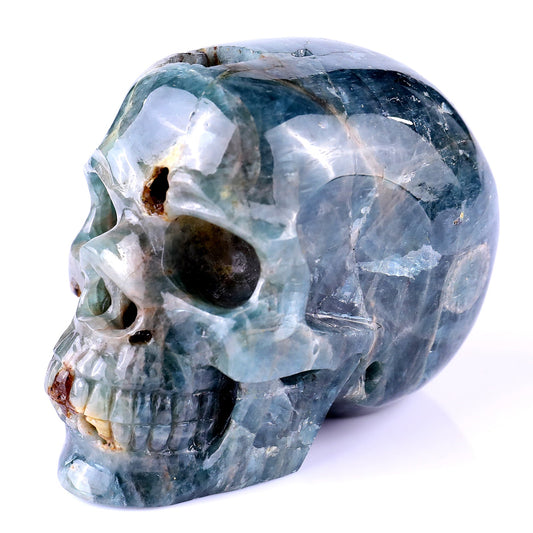 Nicedony 3.7" Blue Apatite Hand Carved Realistic Skull Sculpture