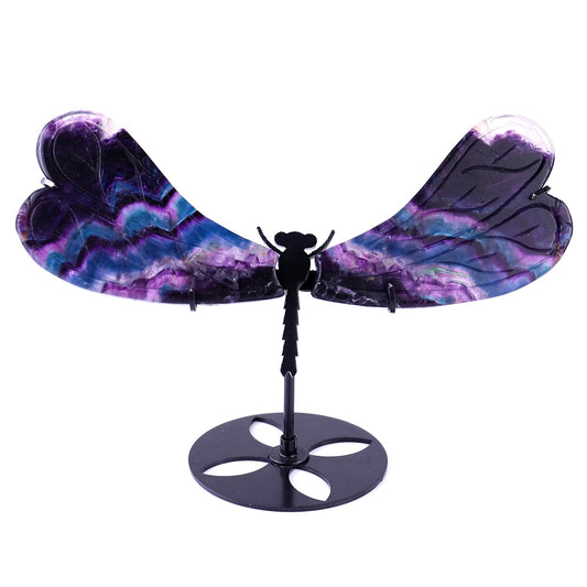 Nicedony 3.7" Fluorite Hand Carved Crystal Dragonfly Wings Sculpture
