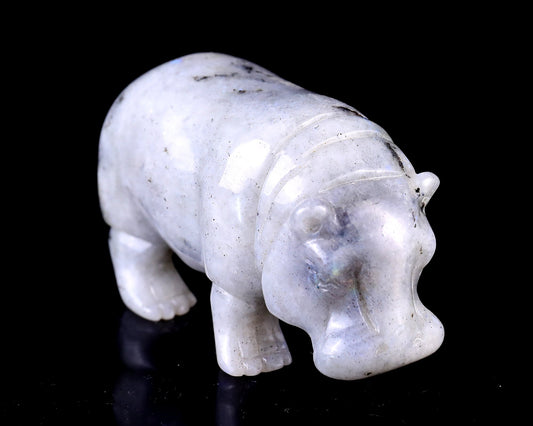 Nicedony 4.1" Labradorite Hand Carved Crystal Hippo Sculpture