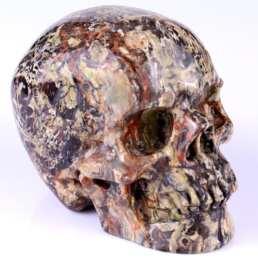 Nicedony 4.4" Coin Agate Hand Carved Realistic Skull Sculpture - #2100251