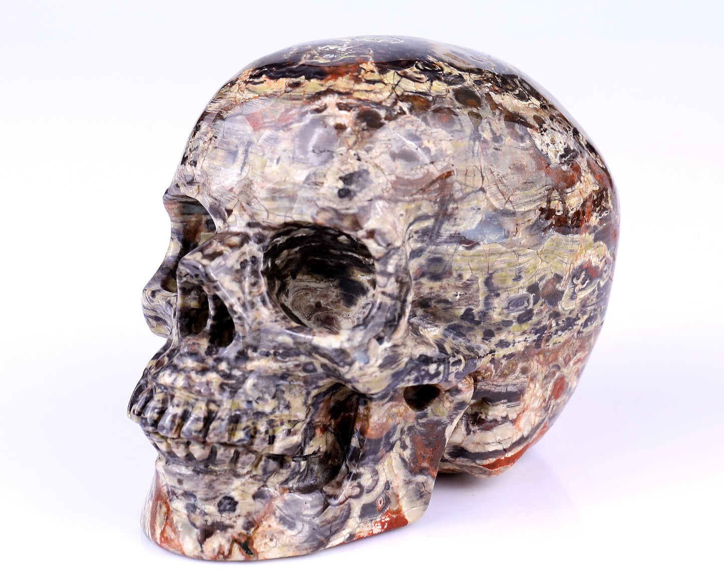Nicedony 4.4" Coin Agate Hand Carved Realistic Skull Sculpture - View 14