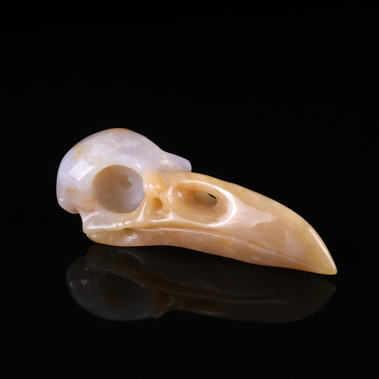 Nicedony 4.7" Chalcedony Hand Carved Crystal Raven Skull Sculpture - #2100059